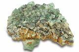 Fluorescent Green Fluorite Cluster - Diana Maria Mine, England #301663-1